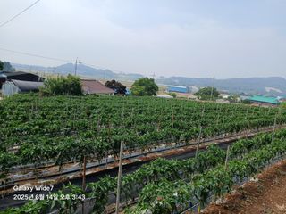 석승인님의 자유주제 · 자유게시판 작성글 사진