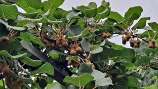 MSG0074님의 자유주제 · 자유게시판 작성글 사진