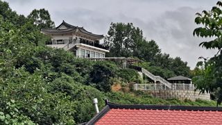 MSG0074님의 자유주제 · 자유게시판 작성글 사진