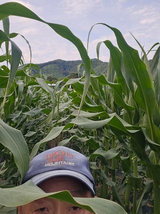 정상붕님의 자유주제 · 자유게시판 작성글 사진