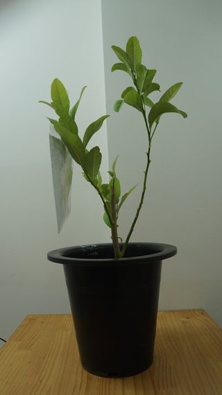 정미리님의 자유주제 · 자유게시판 작성글 사진