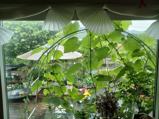 금동이네님의 자유주제 · 자유게시판 작성글 사진