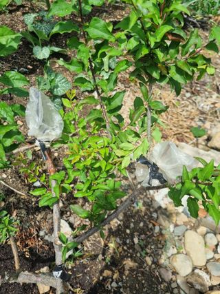 김용대님의 자유주제 · 자유게시판 작성글 사진