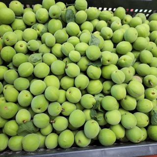 농부쑤니님의 작성글 사진