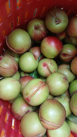 대지털님의 자유주제 · 자유게시판 작성글 사진