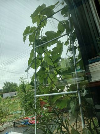 금동이네님의 자유주제 · 자유게시판 작성글 사진