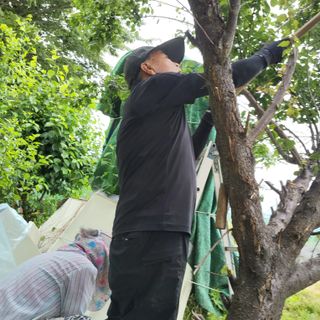 식만동 복합영농님의 자유주제 · 사진전 작성글 사진