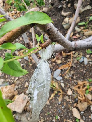 김용대님의 자유주제 · 자유게시판 작성글 사진