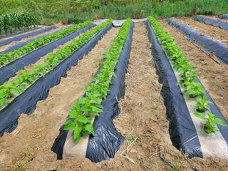 땅땅님의 자유주제 · 자유게시판 작성글 사진