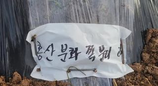 조한솔님의 자유주제 · 자유게시판 작성글 사진