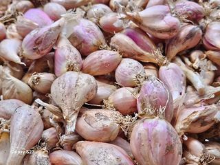 손윤영/수채화농원님의 작성글 사진