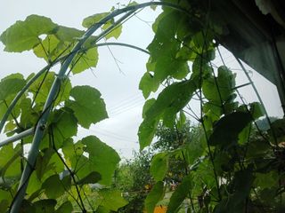 금동이네님의 자유주제 · 자유게시판 작성글 사진