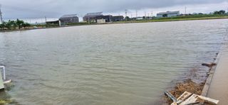 힐링농장님의 자유주제 · 자유게시판 작성글 사진