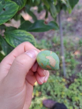 이환우님의 농사, 무엇이든 물어보세요! · 참여글 작성글 사진