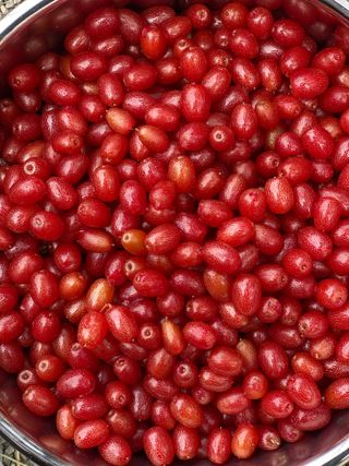 천예별님의 자유주제 · 자유게시판 작성글 사진