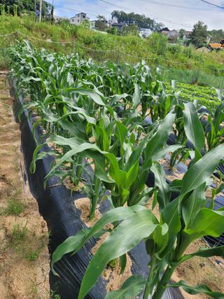 땅땅님의 자유주제 · 자유게시판 작성글 사진