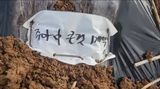 팜모닝 자유주제·자유게시판 게시글 이미지
