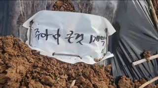 조한솔님의 자유주제 · 자유게시판 작성글 사진