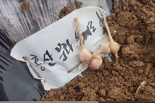 조한솔님의 자유주제 · 자유게시판 작성글 사진