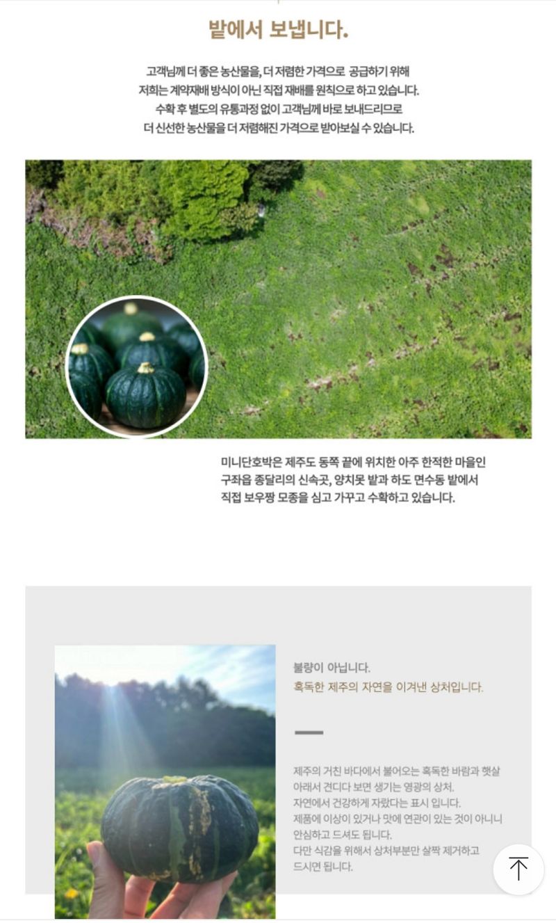 미주팜님의 장터 판매 상품 [제주해풍맞은 미니단호박 특상품5kg ] 첨부 사진