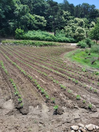 김명수님의 작성글 사진