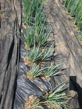 farmer님의 자유주제 · 자유게시판 작성글 사진