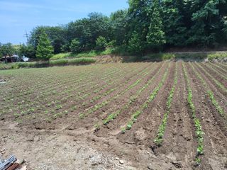 김명수님의 작성글 사진