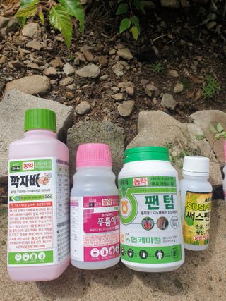 둥시감님의 자유주제 · 자유게시판 작성글 사진