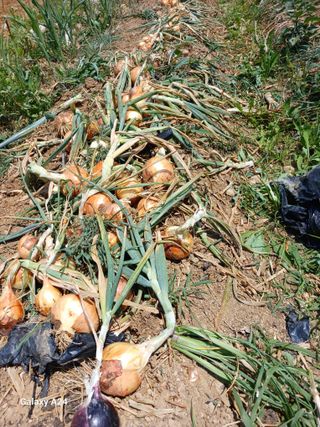 강성흔목사 님의 자유주제 · 자유게시판 작성글 사진