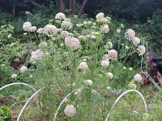 김정은님의 자유주제 · 자유게시판 작성글 사진