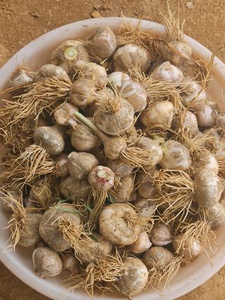 호박12662님의 자유주제 · 사진전 작성글 사진