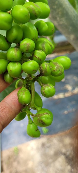 박경림님의 자유주제 · 자유게시판 작성글 사진