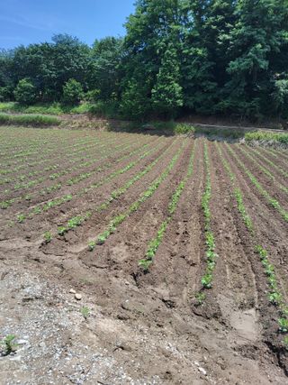 김명수님의 작성글 사진