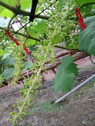 포도님의 자유주제 · 자유게시판 작성글 사진