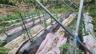 이애숙님의 자유주제 · 자유게시판 작성글 사진