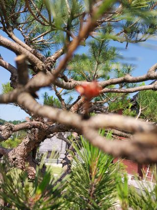 박선희님의 자유주제 · 자유게시판 작성글 사진