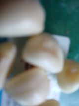 팜모닝 자유주제·자유게시판 게시글 이미지