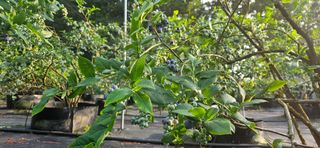 모란님의 작성글 사진