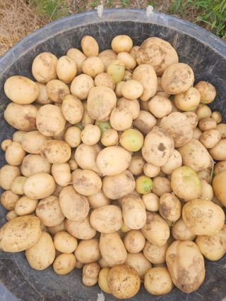 호박12662님의 자유주제 · 사진전 작성글 사진