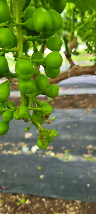 박경림님의 자유주제 · 자유게시판 작성글 사진