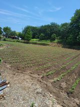 팜모닝 · 게시글 이미지