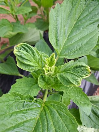 초보굴백이님의 자유주제 · 자유게시판 작성글 사진