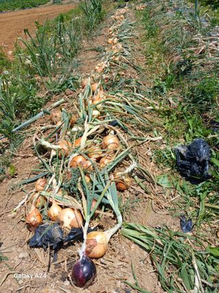 강성흔목사 님의 자유주제 · 자유게시판 작성글 사진