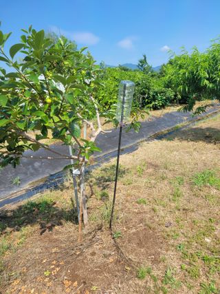 금강농원님의 자유주제 · 자유게시판 작성글 사진