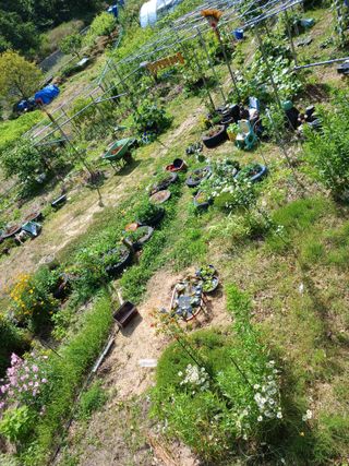 산성골농장님의 자유주제 · 자유게시판 작성글 사진