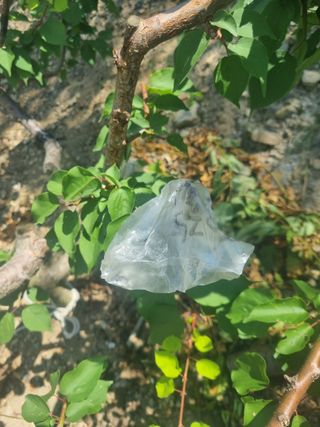 김용대님의 자유주제 · 자유게시판 작성글 사진