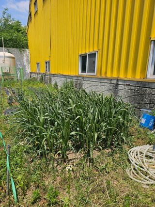 황궁양원님의 자유주제 · 자유게시판 작성글 사진