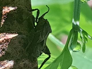 김민수산에서농사중님의 자유주제 · 자유게시판 작성글 사진
