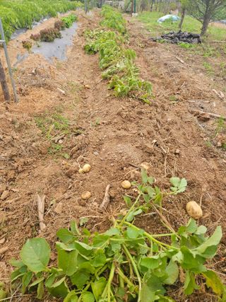 호박12662님의 자유주제 · 사진전 작성글 사진