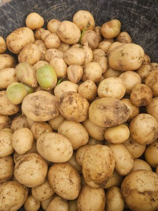 호박12662님의 자유주제 · 사진전 작성글 사진